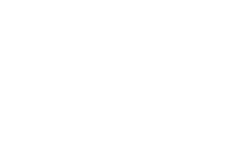 Toisch Logo